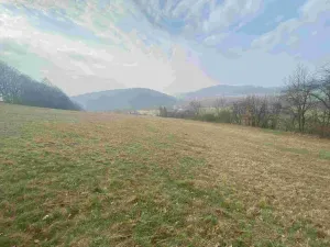 Prodej pozemku, Linhartice, 9269 m2