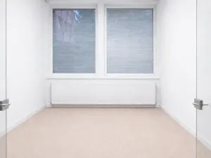 Pronájem obchodního prostoru, Rožnov pod Radhoštěm, 1. máje, 133 m2