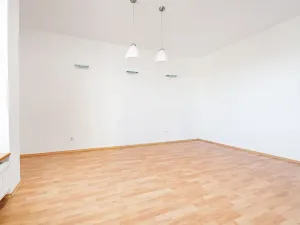 Prodej rodinného domu, Plzeň, Na Hraně, 306 m2