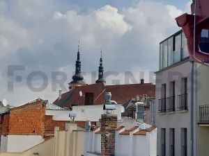 Pronájem bytu 1+kk, Olomouc, Ztracená, 25 m2