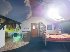 Prodej vícegeneračního domu, Vejprty, 900 m2