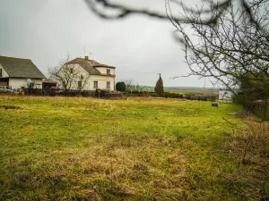 Prodej pozemku pro bydlení, Petrovice, 6626 m2