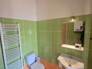 Pronájem bytu 1+kk, Brno, Plotní, 40 m2