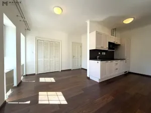 Pronájem bytu 1+kk, Praha - Libeň, Zenklova, 77 m2