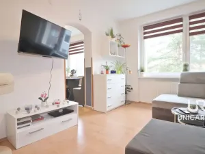 Prodej bytu 2+1, Boskovice, Bílkova, 58 m2