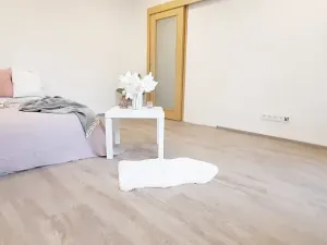 Pronájem bytu 1+1, Brno, Fričova, 46 m2