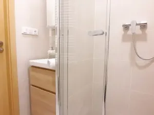 Pronájem bytu 1+1, Brno, Fričova, 46 m2