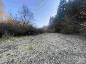 Prodej pozemku, Hluboká nad Vltavou - Kostelec, 3163 m2
