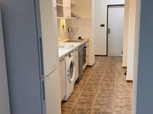 Pronájem bytu 1+kk, Liberec - Liberec I-Staré Město, Železná, 30 m2