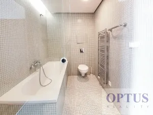 Pronájem bytu 2+kk, Praha - Vinohrady, Korunní, 76 m2