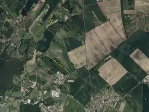 Prodej lesa, Dubňany, 5378 m2