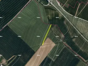 Prodej podílu pole, Boršice, 8735 m2