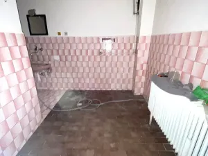 Prodej komerční nemovitosti, Pitín, 640 m2