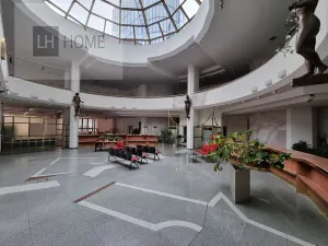 Pronájem obchodního prostoru, Plzeň, 1000 m2