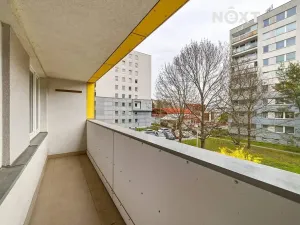 Prodej bytu 2+1, Praha - Žižkov, Habrová, 46 m2