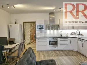 Pronájem bytu 1+kk, Plzeň, U Borských kasáren, 40 m2