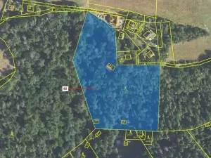 Dražba lesa, Sýkořice, 8962 m2