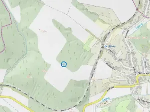 Prodej lesa, Silůvky, 174 m2