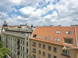 Prodej bytu 1+1, Brno, Čápkova, 54 m2