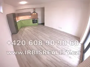 Pronájem bytu 2+kk, Plzeň, Papírnická, 50 m2