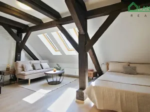 Pronájem bytu 1+kk, Brno, Francouzská, 32 m2