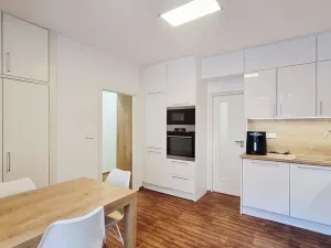 Pronájem bytu 1+1, Brno, Tučkova, 44 m2