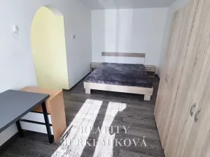 Pronájem bytu 1+kk, České Budějovice, 25 m2