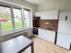 Pronájem bytu 2+1, Most, Alej Boženy Němcové, 58 m2