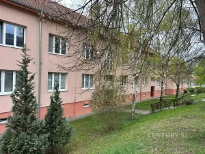 Pronájem bytu 2+1, Most, Alej Boženy Němcové, 58 m2