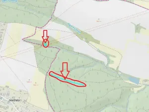 Prodej lesa, Rájec, 5476 m2