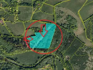 Prodej podílu lesa, Malá Bystřice, 5829 m2