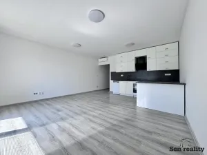 Pronájem rodinného domu, Srnojedy, Sportovní, 47 m2