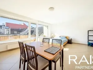 Prodej bytu 1+kk, Brno, Vranovská, 55 m2