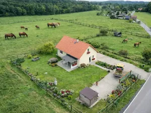 Prodej rodinného domu, Petkovy, 75 m2