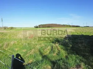 Prodej zahrady, Mělník, 9817 m2