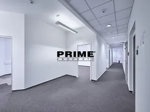 Pronájem kanceláře, Praha - Nové Město, Soukenická, 246 m2