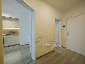 Pronájem bytu 1+kk, České Budějovice, Na Zlaté stoce, 28 m2