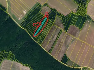 Prodej lesa, Rybníky, 3133 m2