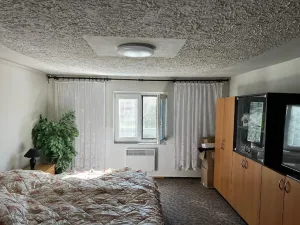 Prodej rodinného domu, Chlum Svaté Maří, Mariánská, 250 m2