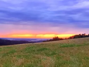 Prodej pozemku pro bydlení, Pecka, 1250 m2