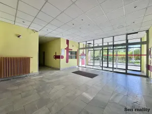 Prodej bytu 2+kk, Hradec Králové, Veverkova, 53 m2
