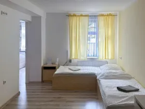 Prodej ubytování, Bartošovice v Orlických horách, 500 m2