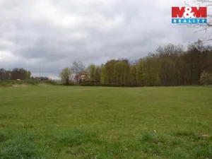 Prodej louky, Náchod - Běloves, 20495 m2