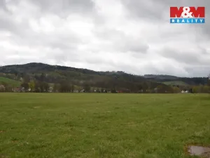 Prodej louky, Náchod - Běloves, 20495 m2