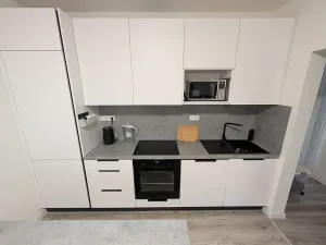 Pronájem bytu 3+kk, Mladá Boleslav, Žižkova, 90 m2