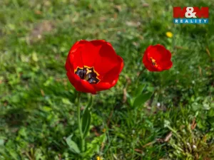 Prodej chaty, Chomutov, 19 m2