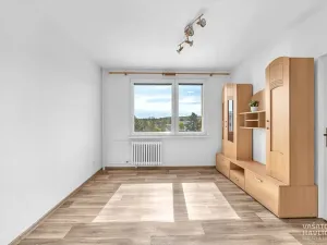 Pronájem bytu 1+1, Heřmanův Městec, V Lukách, 32 m2