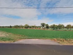 Prodej pole, Chlumec nad Cidlinou, 8295 m2