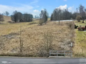 Prodej komerčního pozemku, Bartošovice v Orlických horách, 7647 m2
