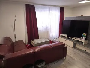 Pronájem bytu 1+kk, Bílovice nad Svitavou, Šebelova, 35 m2